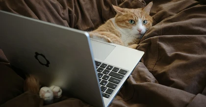 A list of unusual websites for those who are bored